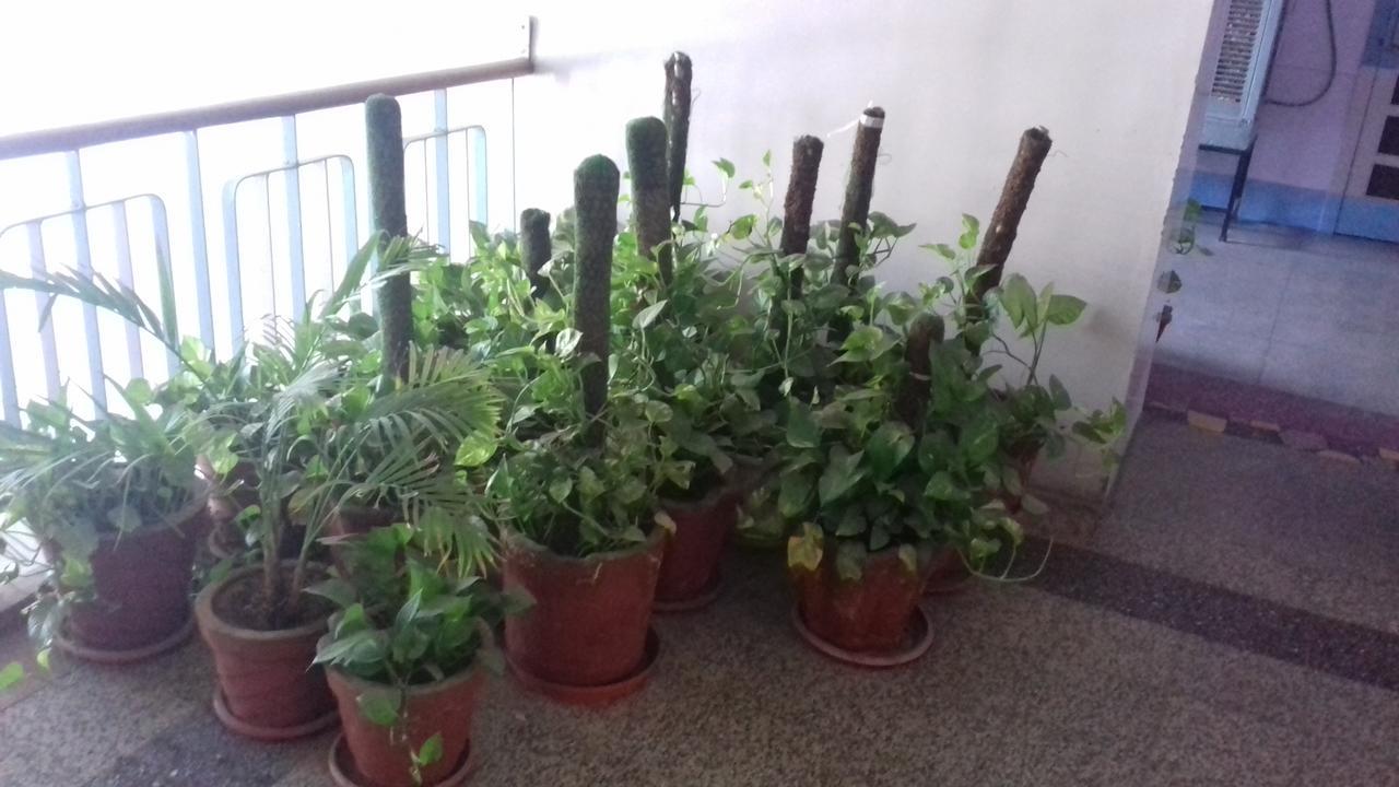 Arun Hotel Jodhpur  Eksteriør bilde